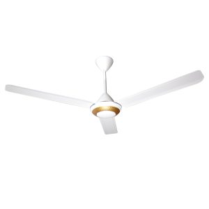 Large Ceiling Fan
