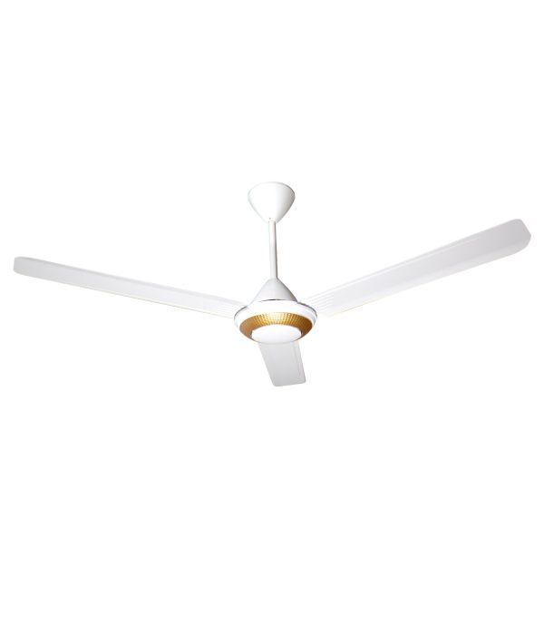 Grand ventilateur de plafond