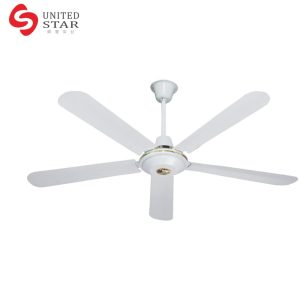 Ceiling Fan Without Light