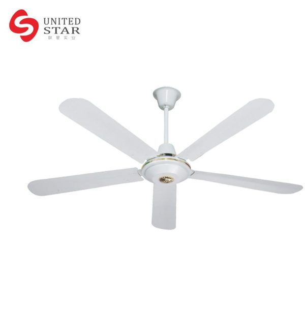 Ceiling Fan Without Light
