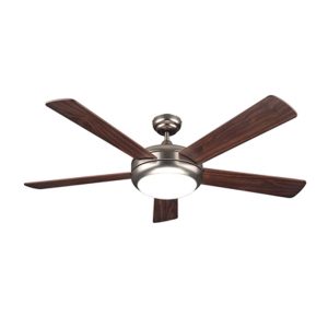 Circle Ceiling Fan with Light