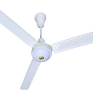 large ceiling fan