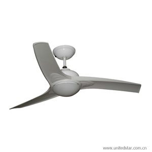 Big Ceiling Fan with Light