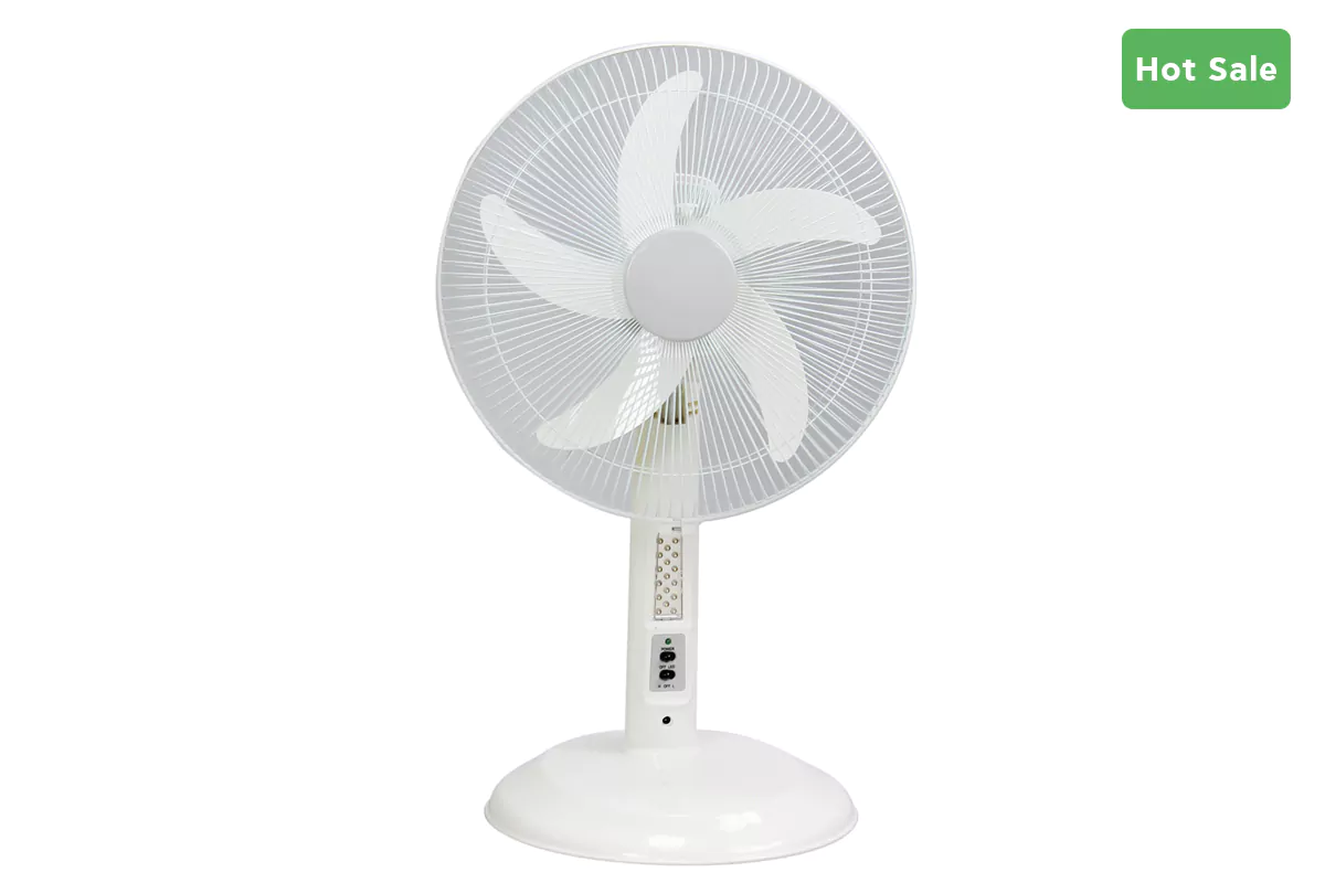 Rechargeable Fan