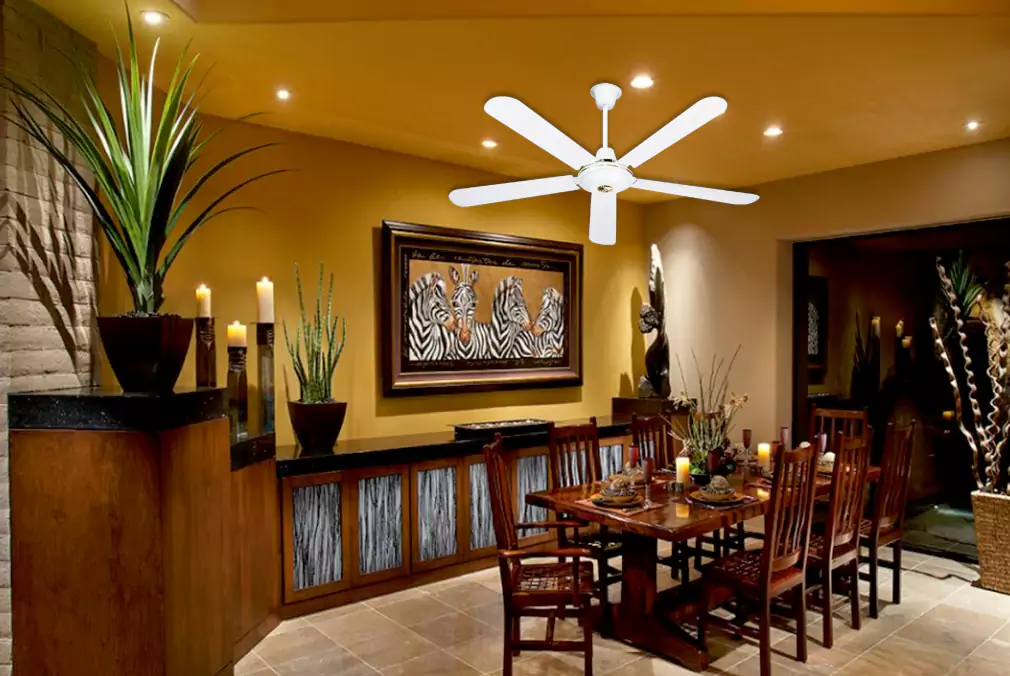 ceiling fan