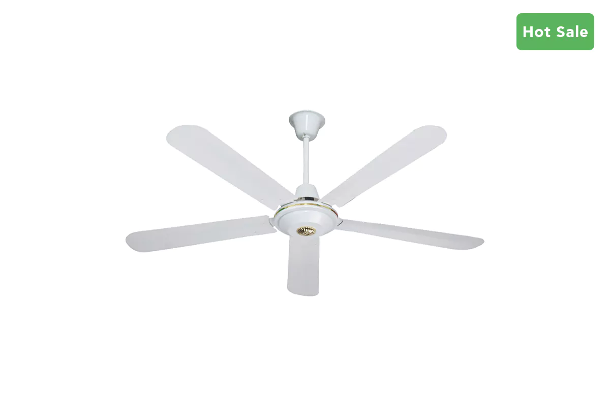 ceiling fan