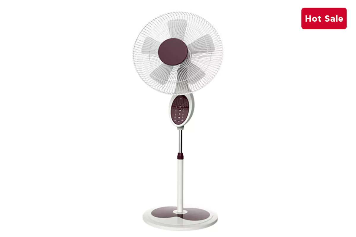 Stand Fan