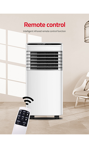 remote of portable ac