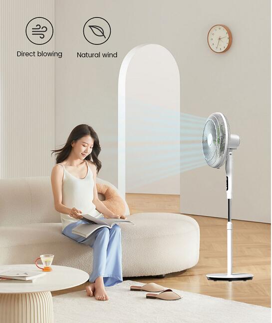 ventilador